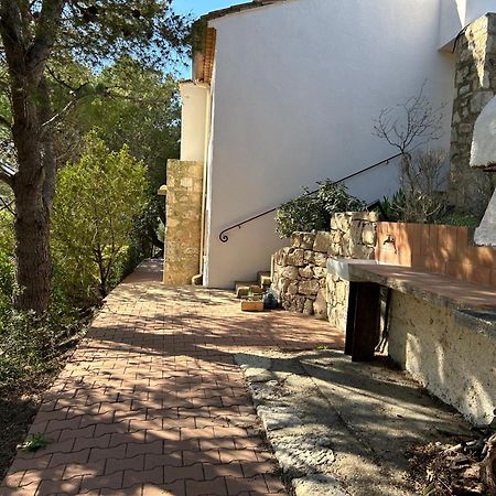Apartament Grand T2 Bis Avec Terrasse Et Vue Portel-des-Corbieres Zewnętrze zdjęcie